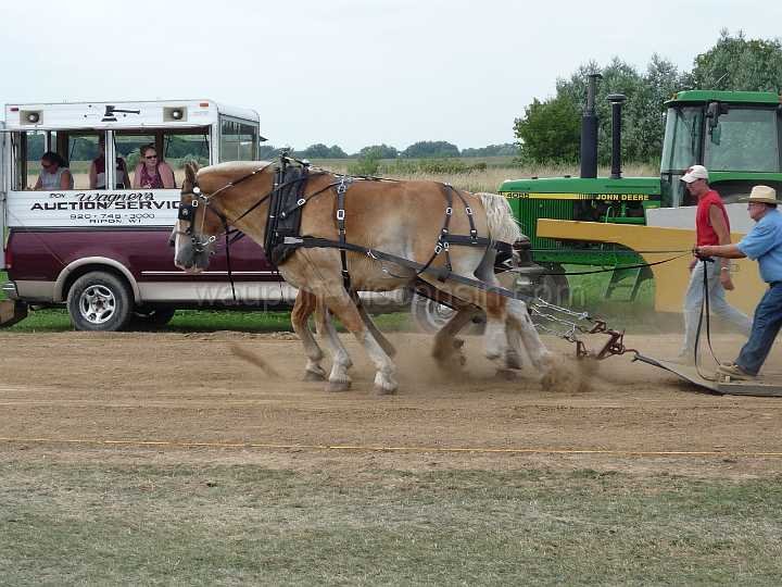 alto-fair-horse-pull-2009-505