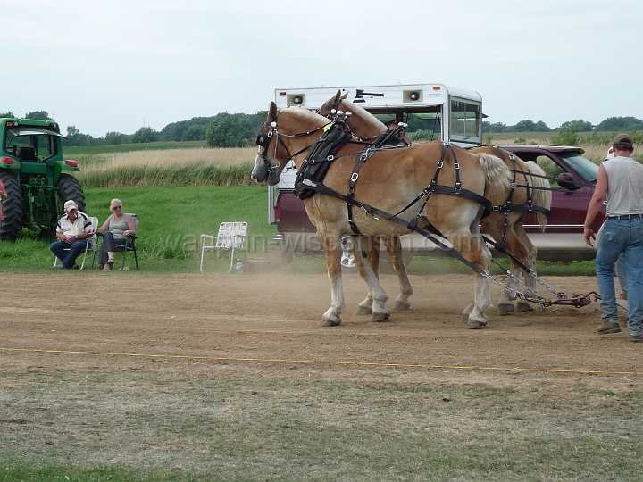 alto-fair-horse-pull-2009-509