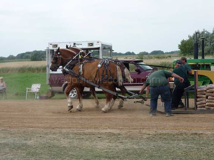 alto-fair-horse-pull-2009-511