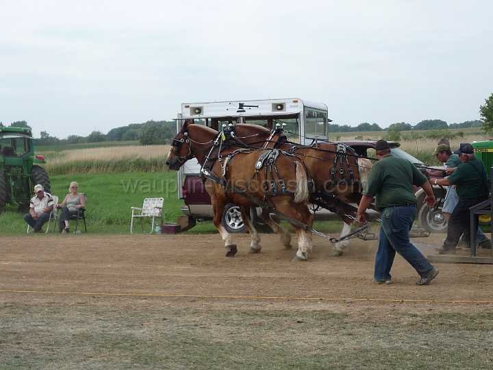 alto-fair-horse-pull-2009-514