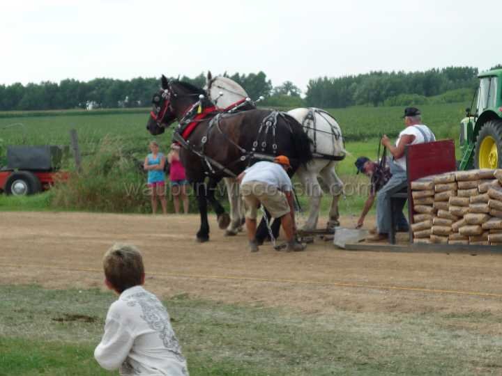 alto-fair-horse-pull-2009-527