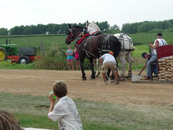 alto-fair-horse-pull-2009-530