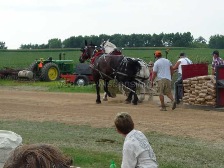 alto-fair-horse-pull-2009-538