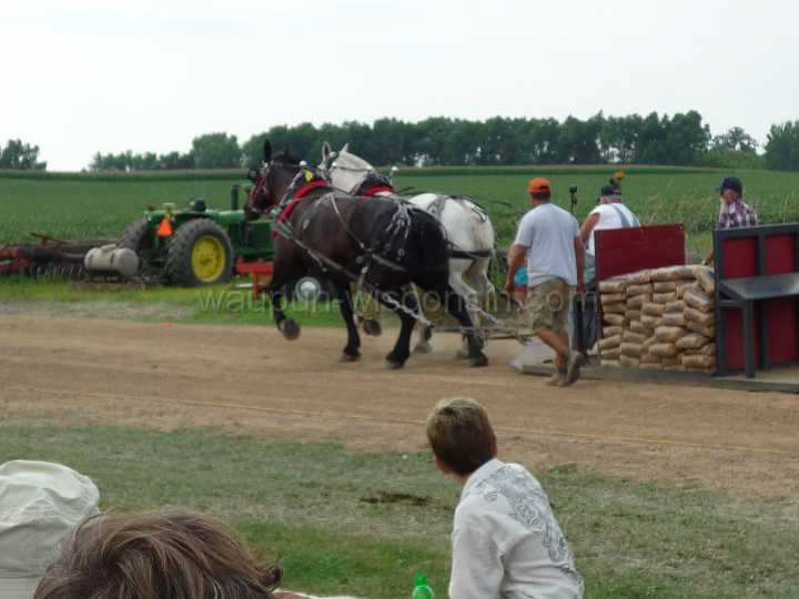 alto-fair-horse-pull-2009-539