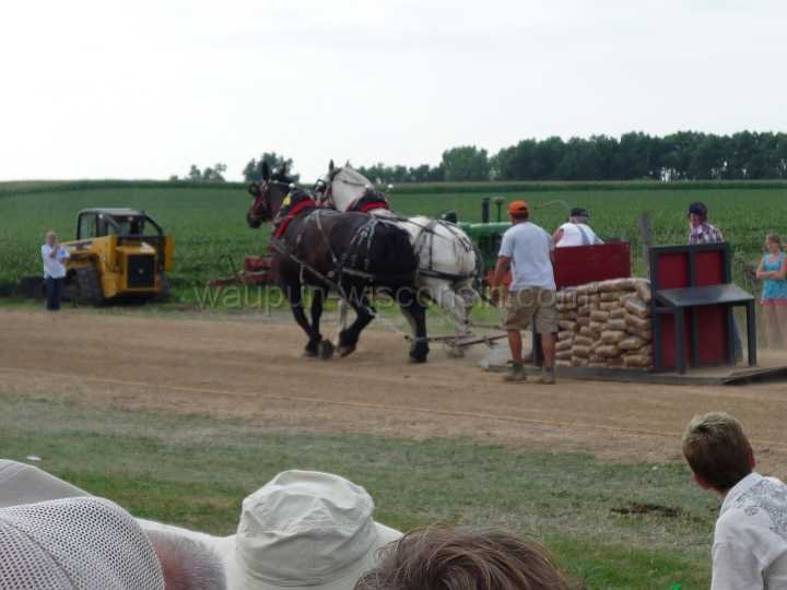 alto-fair-horse-pull-2009-543