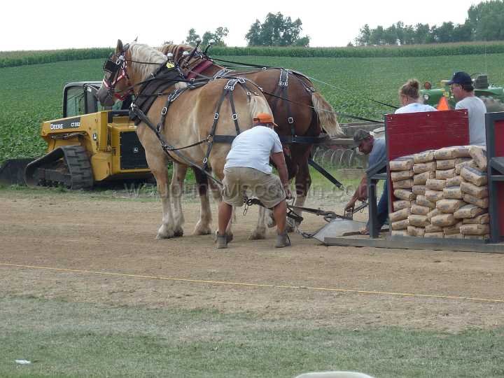 alto-fair-horse-pull-2009-549