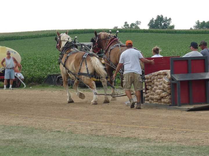 alto-fair-horse-pull-2009-558