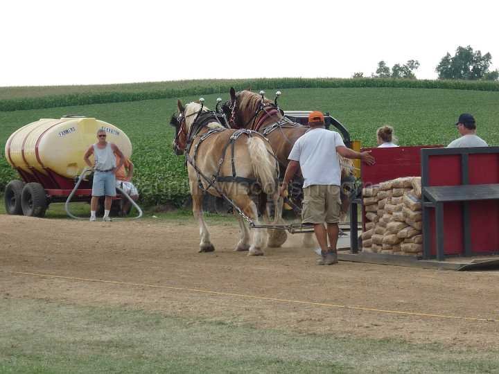 alto-fair-horse-pull-2009-561