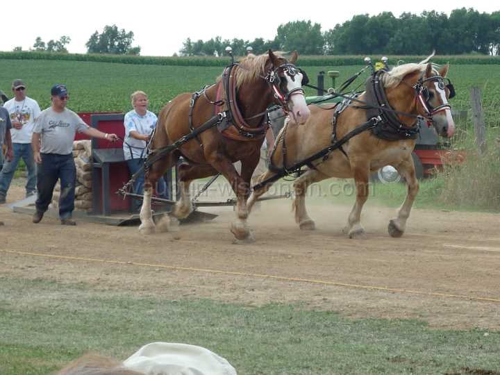alto-fair-horse-pull-2009-570