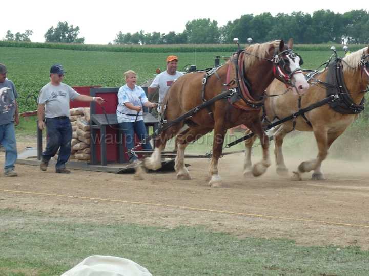 alto-fair-horse-pull-2009-572