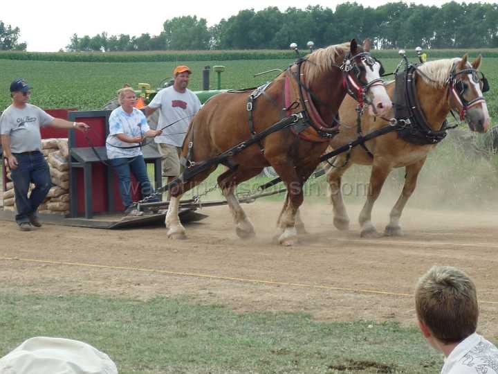 alto-fair-horse-pull-2009-573