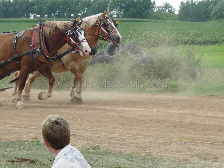 alto-fair-horse-pull-2009-575