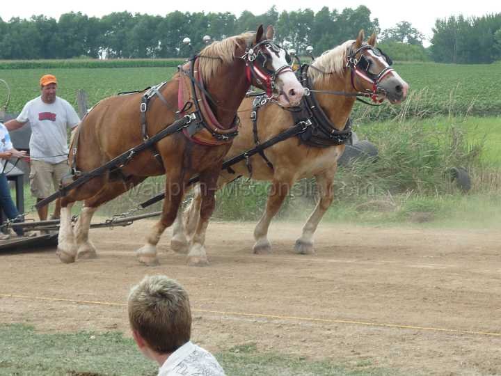 alto-fair-horse-pull-2009-578