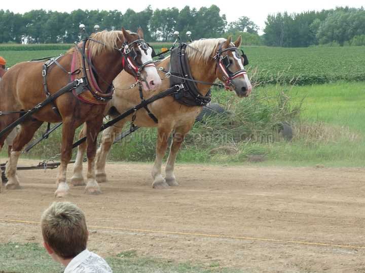 alto-fair-horse-pull-2009-580