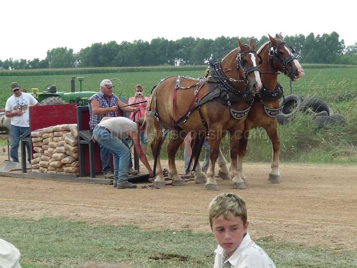 alto-fair-horse-pull-2009-583