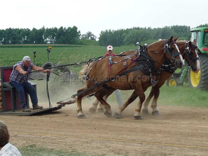 alto-fair-horse-pull-2009-589