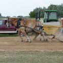 alto-fair-horse-pull-2009-504