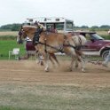 alto-fair-horse-pull-2009-507