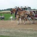 alto-fair-horse-pull-2009-508