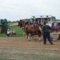 alto-fair-horse-pull-2009-517