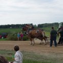 alto-fair-horse-pull-2009-524