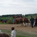 alto-fair-horse-pull-2009-525