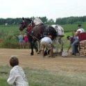 alto-fair-horse-pull-2009-527