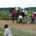 alto-fair-horse-pull-2009-528