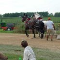 alto-fair-horse-pull-2009-534