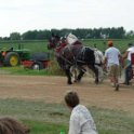 alto-fair-horse-pull-2009-537