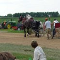 alto-fair-horse-pull-2009-538