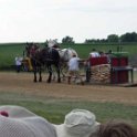 alto-fair-horse-pull-2009-547
