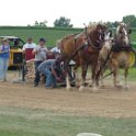 alto-fair-horse-pull-2009-566