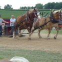 alto-fair-horse-pull-2009-570