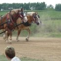 alto-fair-horse-pull-2009-576