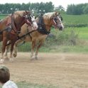 alto-fair-horse-pull-2009-579
