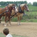 alto-fair-horse-pull-2009-581