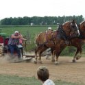 alto-fair-horse-pull-2009-585
