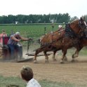 alto-fair-horse-pull-2009-587
