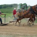alto-fair-horse-pull-2009-592