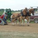 alto-fair-horse-pull-2009-598