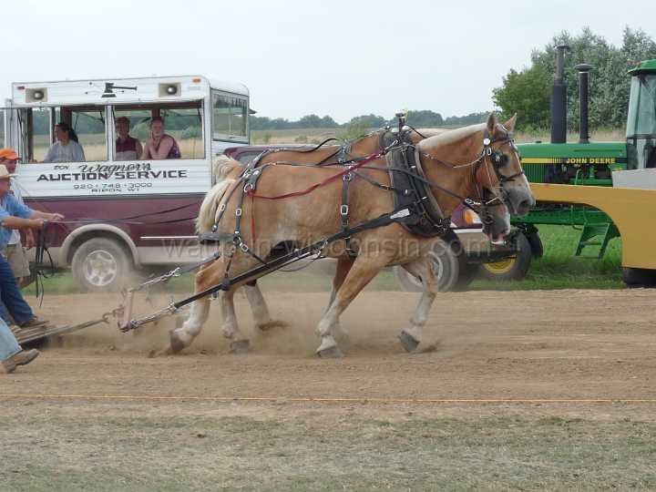 alto-fair-horse-pull-2009-606