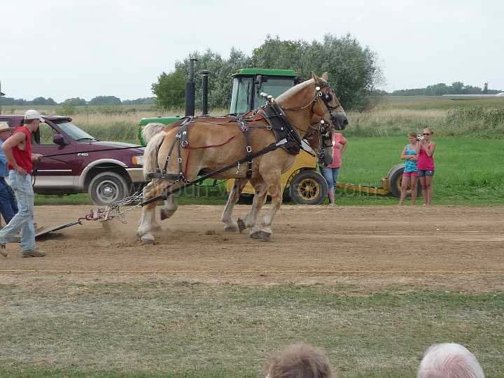 alto-fair-horse-pull-2009-613