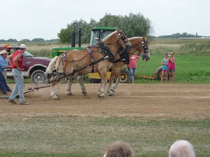 alto-fair-horse-pull-2009-614