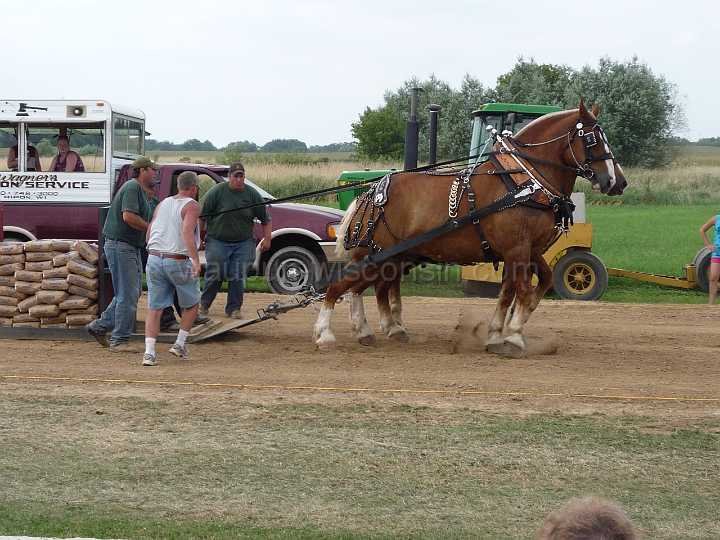 alto-fair-horse-pull-2009-617