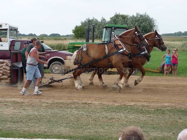 alto-fair-horse-pull-2009-618