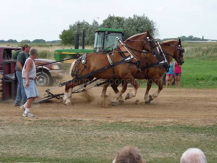 alto-fair-horse-pull-2009-619