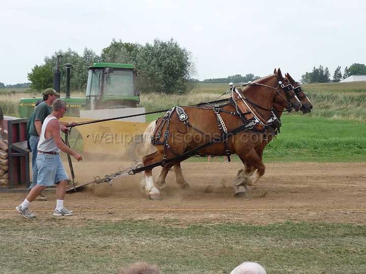 alto-fair-horse-pull-2009-621