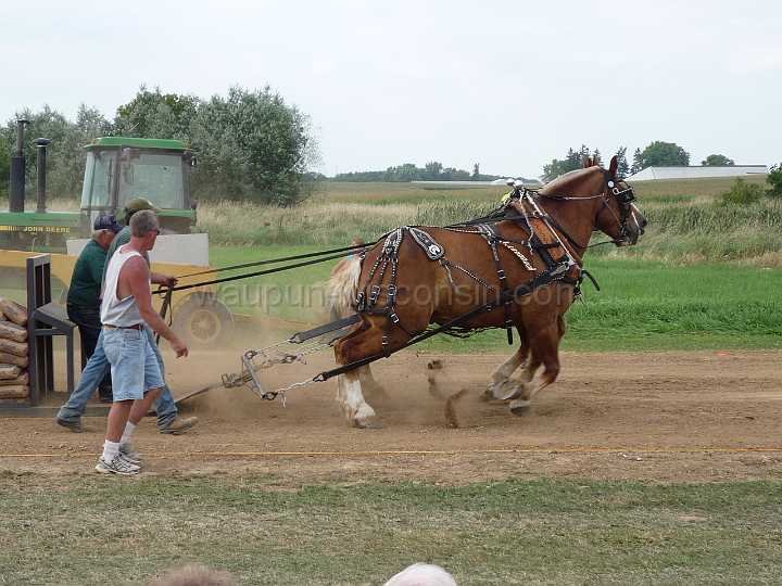 alto-fair-horse-pull-2009-622