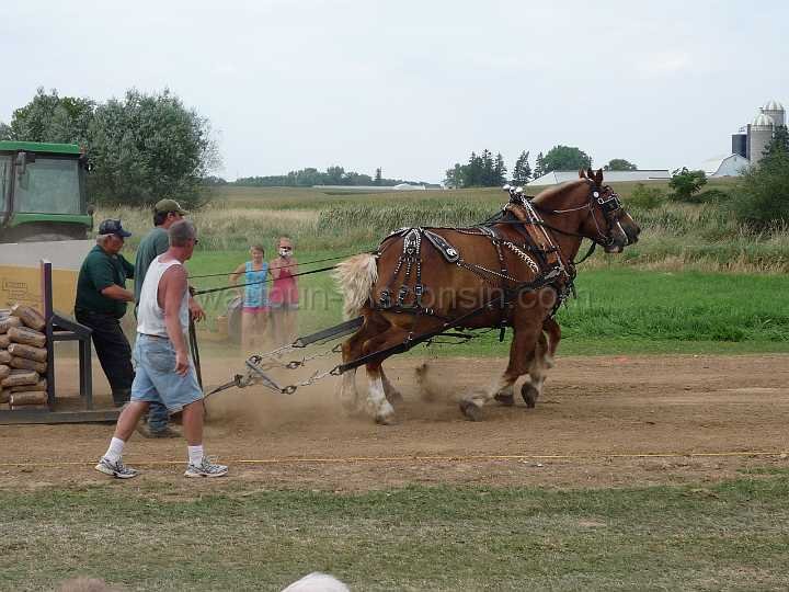alto-fair-horse-pull-2009-623